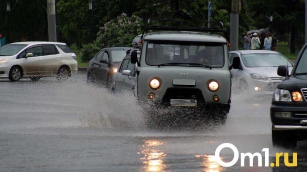 Льёт как из ведра: синоптики объяснили, откуда взялись дожди в Омской области