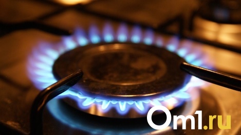 В Омске газовщики ограбили пенсионера во время установки оборудования