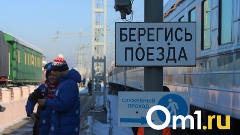 В Омской области ночью проходящий поезд насмерть сбил человека