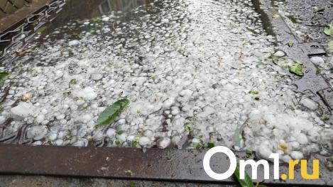 Град размером с черешню уничтожил урожай в Омской области