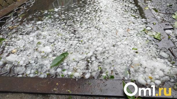 Град размером с черешню уничтожил урожай в Омской области