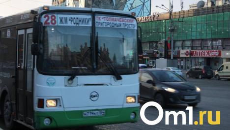 Омичам предложили замену автобусному маршруту № 28