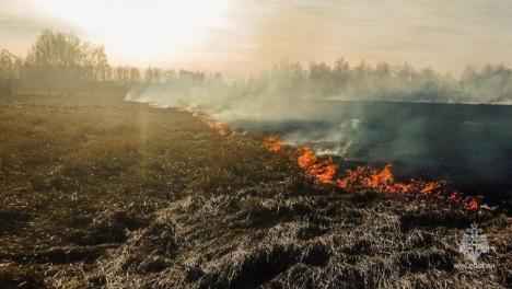 Три гектара в огне: омские пожарные ликвидировали крупное возгорание травы