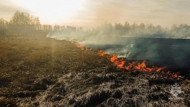 Три гектара в огне: омские пожарные ликвидировали крупное возгорание травы
