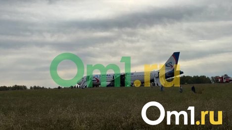 Стала известна причина аварийной посадки самолёта с омичами в поле