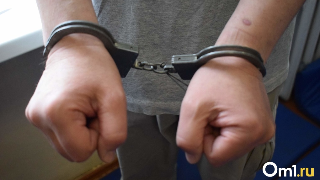 Подозреваемого в ложном минировании школы задержали в Новосибирске