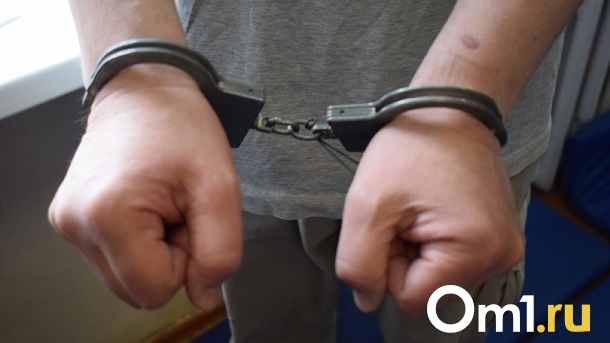 Подозреваемого в ложном минировании школы задержали в Новосибирске