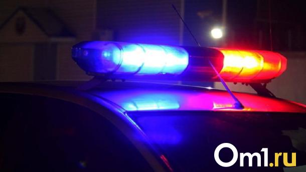 В Октябрьском округе Омска пожилой водитель сбил ребёнка