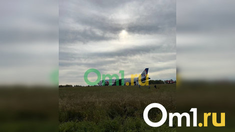 Авиаконструктор раскритиковал командира экипажа за перегон Airbus А320 в Новосибирск