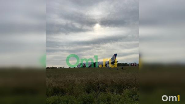 Авиаконструктор раскритиковал командира экипажа за перегон Airbus А320 в Новосибирск