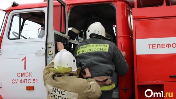 Омичам на два месяца запретят посещать лес