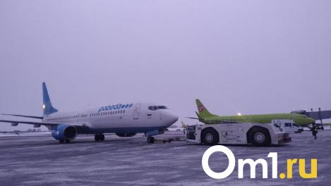 Омич отсудил у петербургского аэропорта 400 тысяч рублей за падение и перелом ноги
