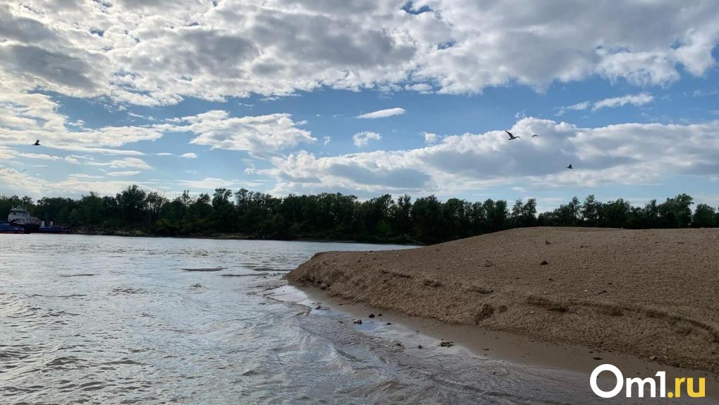 «Вода уйдёт — вернусь жить»: во время паводка омич лишился дома и 40 овец