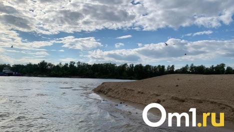 «Вода уйдёт — вернусь жить»: во время паводка омич лишился дома и 40 овец