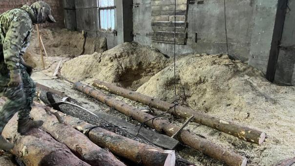Лидера банды «чёрных» лесорубов задержали в Новосибирской области