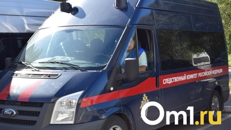 Следком подтвердил информацию о найденном в Омске теле младенца
