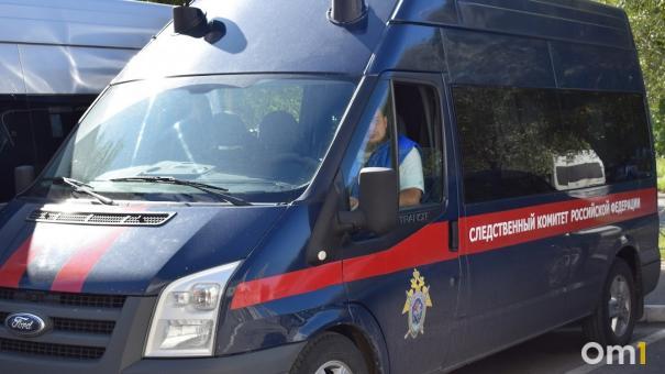 Следком подтвердил информацию о найденном в Омске теле младенца