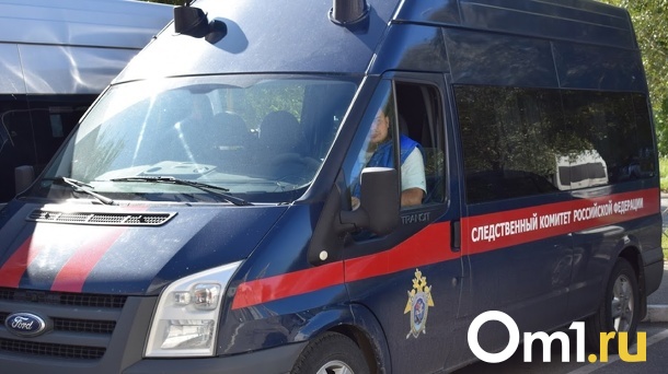 Следком подтвердил информацию о найденном в Омске теле младенца