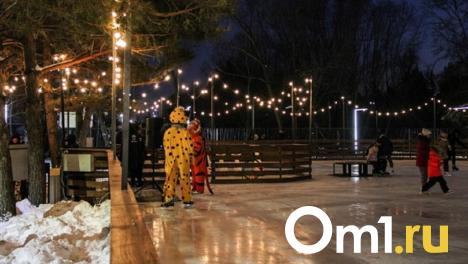 В Омске откроется каток с новогодней музыкой