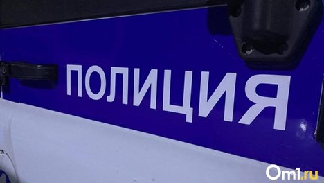 В омском лесу оперативники задержали наркокурьера-путешественника с крупной партией запрещённых веществ