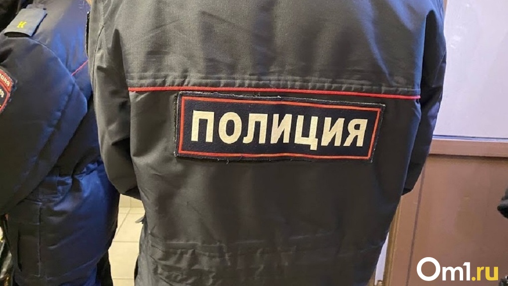 Омская полиция проверила семью мальчика, которого отчим якобы пнул в живот и выгнал на улицу