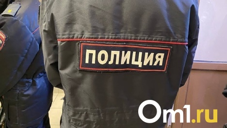 Омская полиция проверила семью мальчика, которого отчим якобы пнул в живот и выгнал на улицу