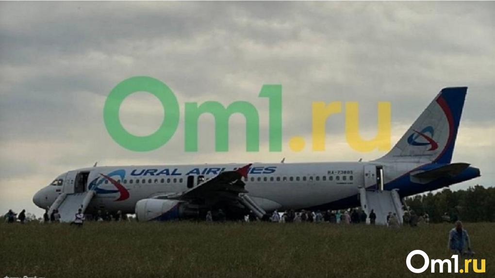 Опубликован официальный отчёт об аварийной посадке самолёта рейса Сочи — Омск