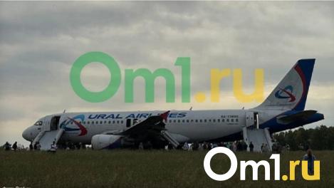 Опубликован официальный отчёт об аварийной посадке самолёта рейса Сочи — Омск