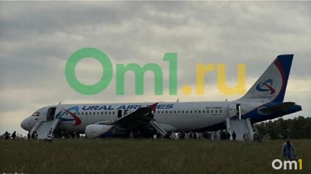 Опубликован официальный отчёт об аварийной посадке самолёта рейса Сочи — Омск