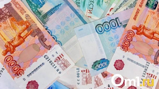 Правительство Новосибирской области утвердило бюджет на 2025 год