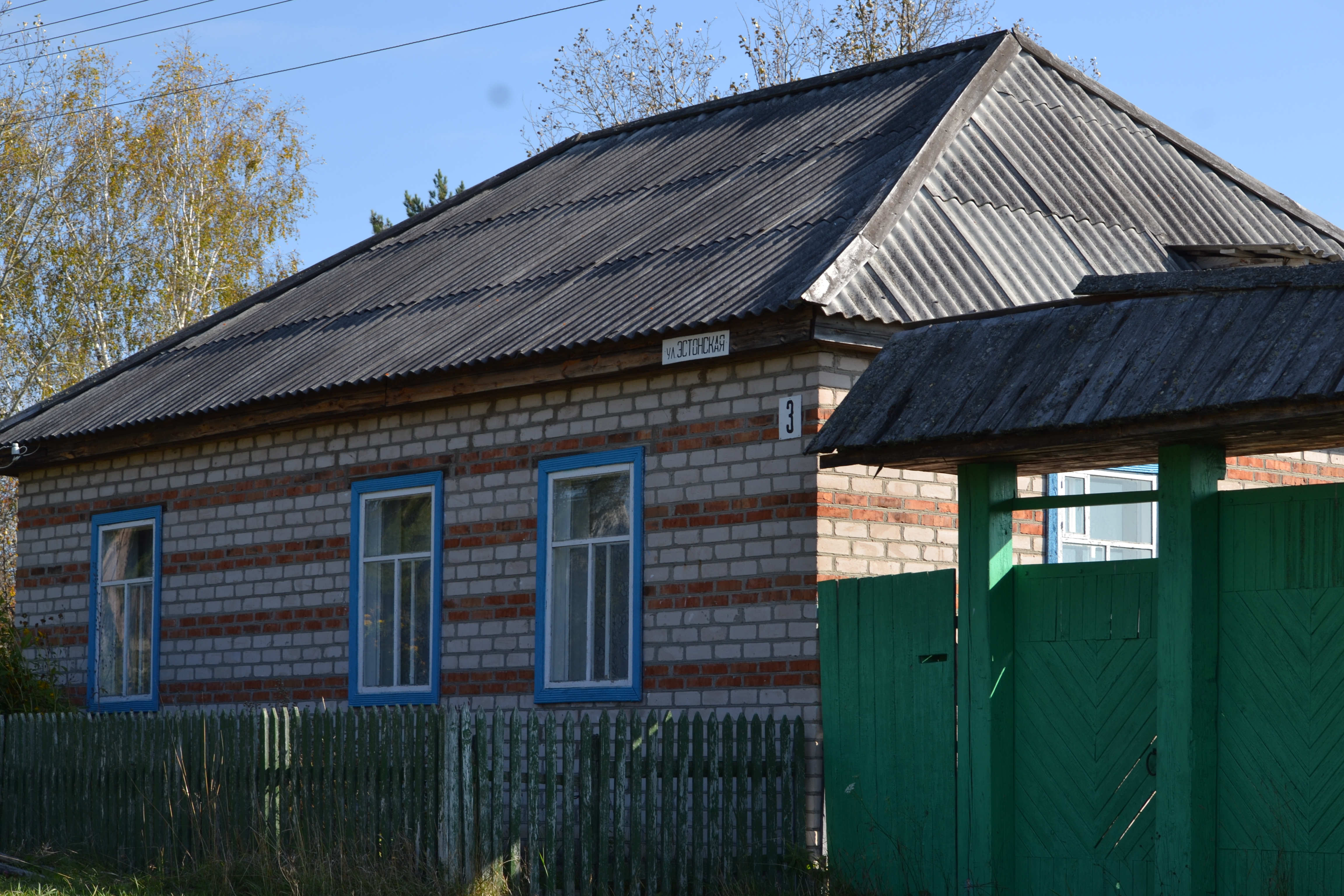 Деревня эстонка Омская область