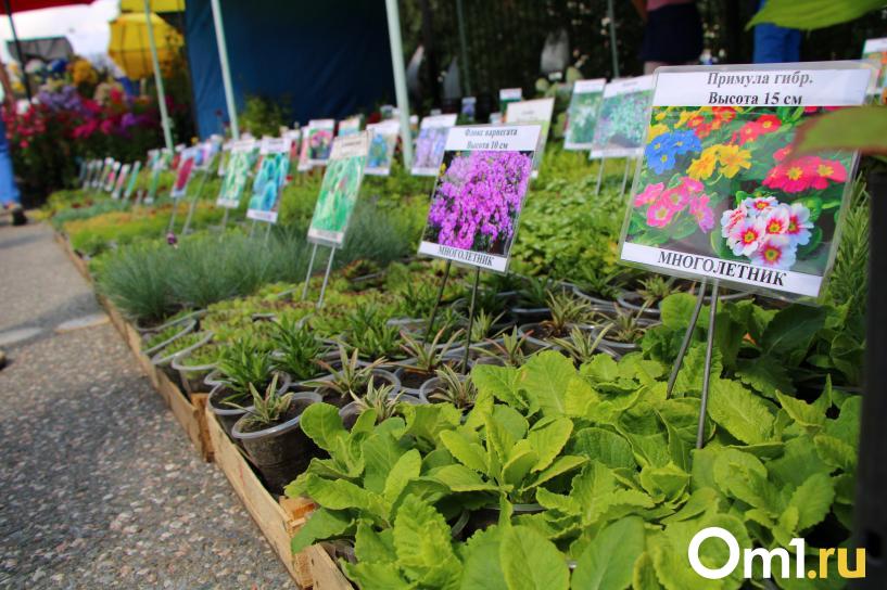 Изображение фоторепортажа