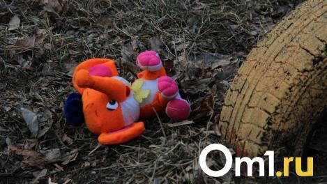 Омская полиция ищет 7-летнюю девочку в синих сапожках