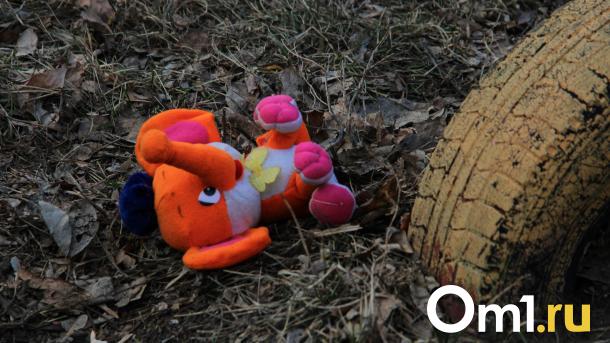 Омская полиция ищет 7-летнюю девочку в синих сапожках