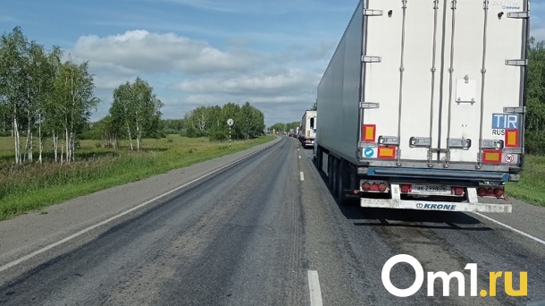 Из Омской области пытались ввезти в Казахстан прицеп с нелегальным плавленым сыром