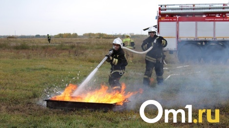 С приходом тепла в Омской области начался сезон лесных и природных пожаров