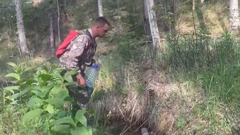В Омской области из-за удара молнии возник лесной пожар