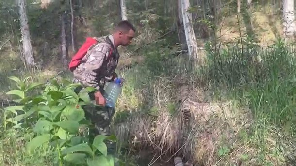 В Омской области из-за удара молнии возник лесной пожар