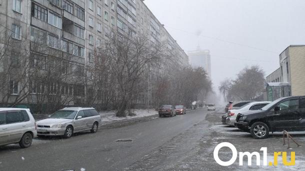 Снегопад и плохая видимость: сегодня в Омскую область придёт непогода