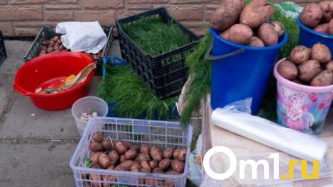 У нелегального продавца в Новосибирске изъяли около трёх тонн картошки
