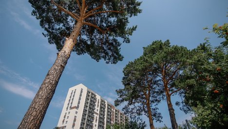 Жить на берегу Оби: первый дом нового квартала сдаётся уже в этом году