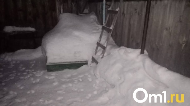 В Омской области в сарае нашли израненное тело мужчины