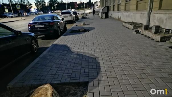 Партизанская «облысела»: напротив ОмГПУ вырубили все деревья