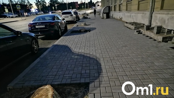 Партизанская «облысела»: напротив ОмГПУ вырубили все деревья