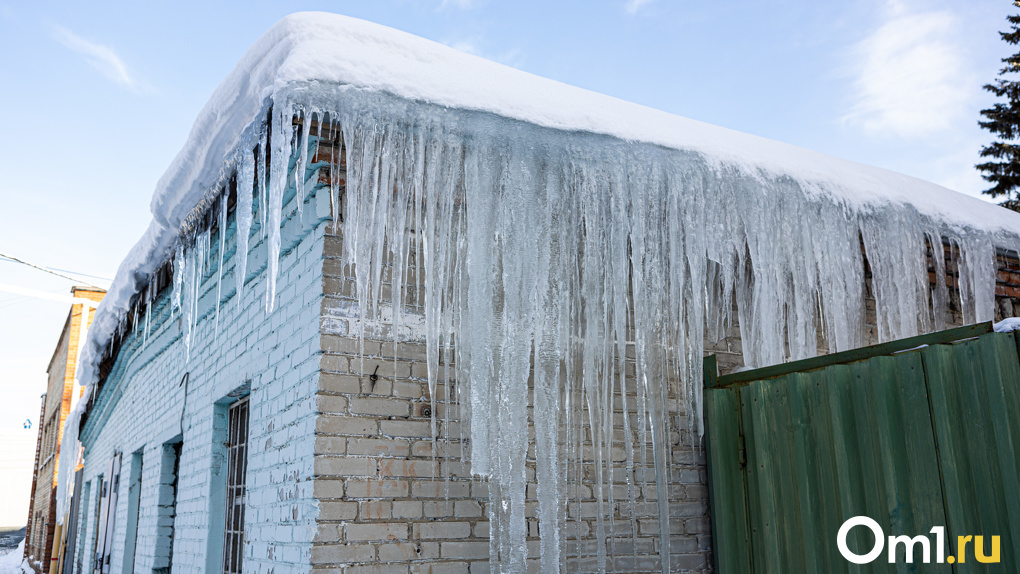 Новосибирский синоптик Лапчик назвала причины сильных морозов в ноябре