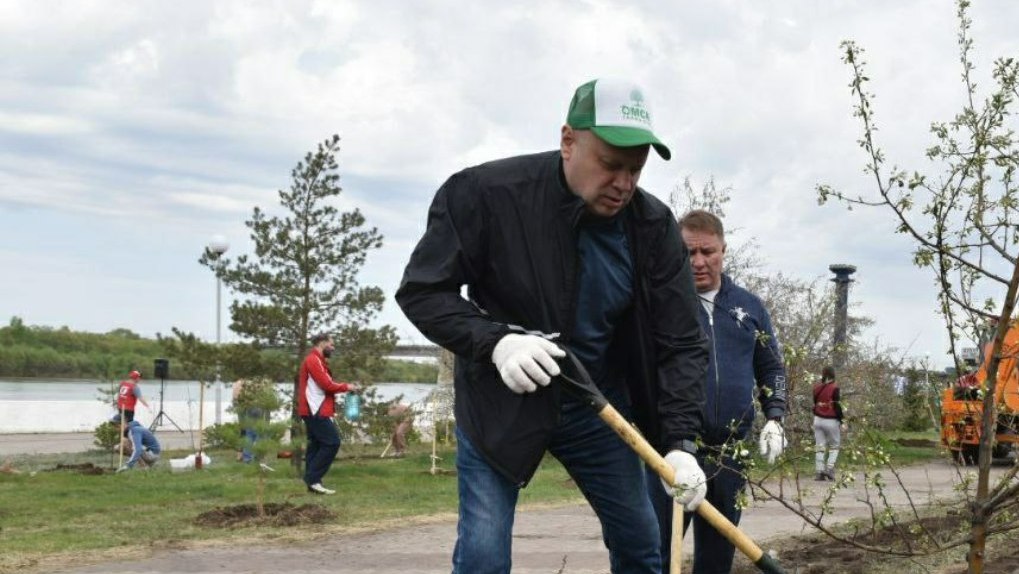 Мэр Омска Сергей Шелест принял участие в масштабной высадке деревьев на Иртышской набережной