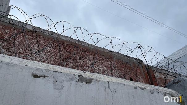 Избивал два часа: омичку до смерти забил племянник-наркоман
