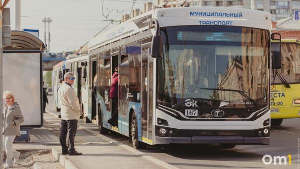 После концерта Бузовой в парке «Вокруг света» омичей развезут автобусы