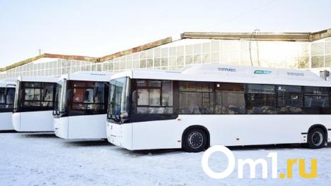 С 2024 года в Омске будет увеличено количество автобусов на шести маршрутах