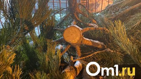 В Омске опубликовали точки продаж новогодних ёлок в Ленинском округе
